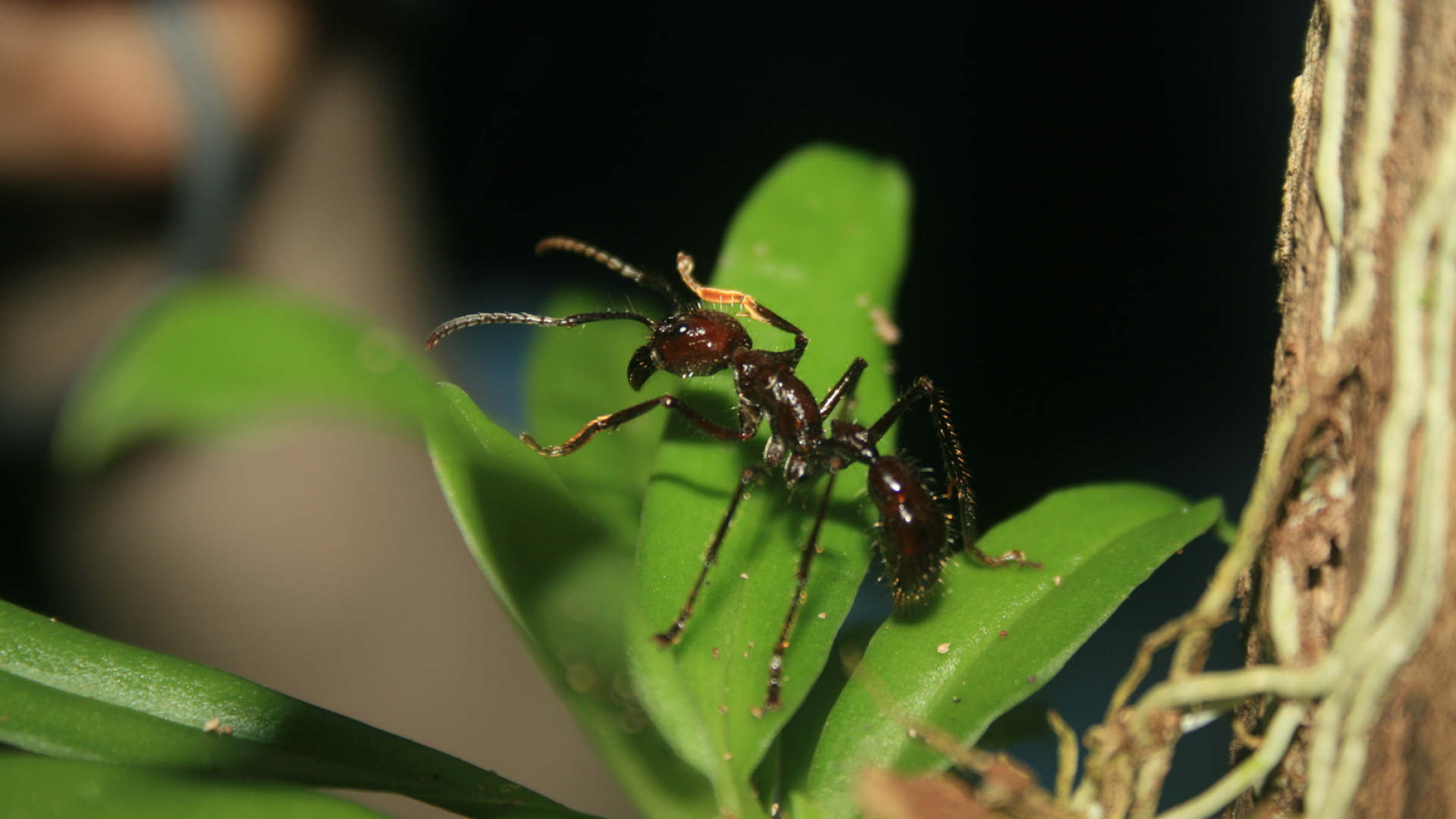 Work-Packages_Billiboard-d9-ant-Andrew-Bladon-1620x1080
